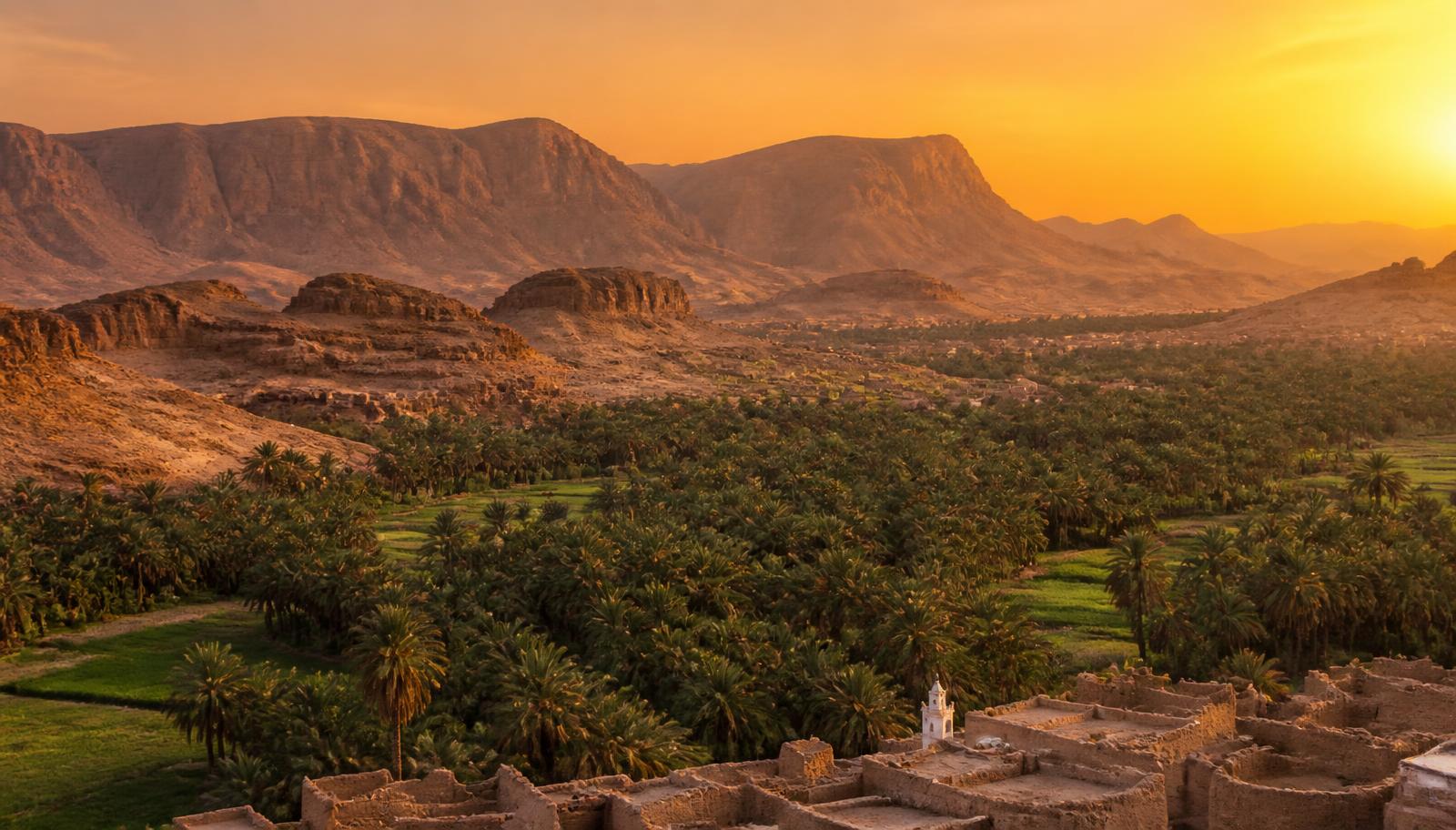 عن المنتجع